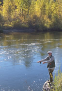 Bitterroot River Fishing